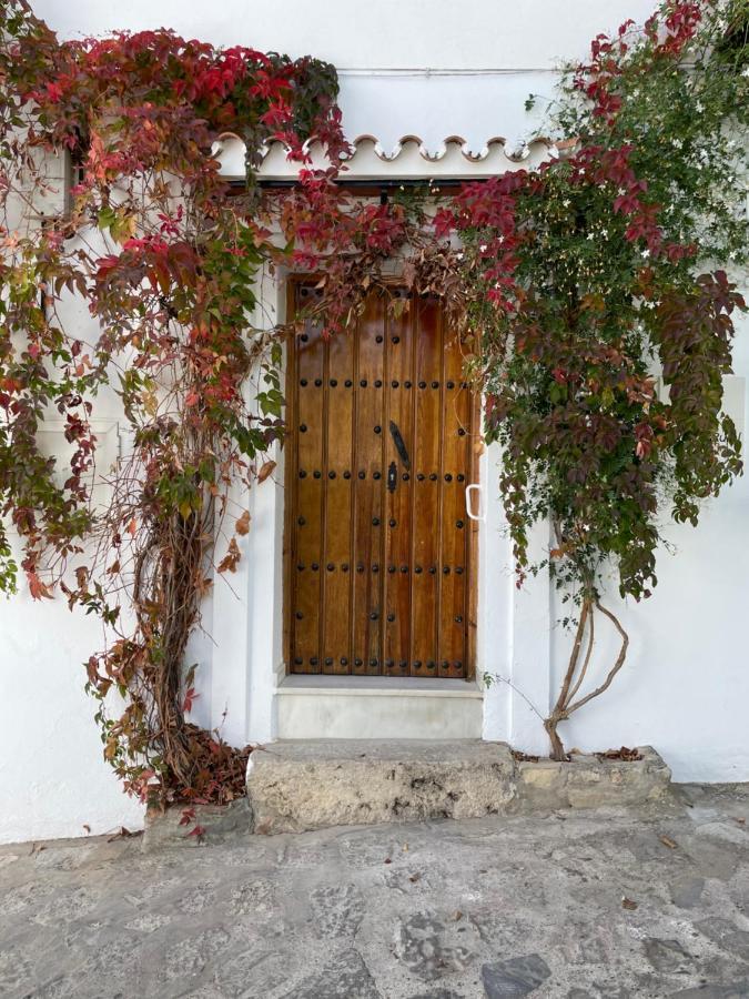 Appartamento Cuevas Del Penon - Loft Torreon Grazalema Esterno foto